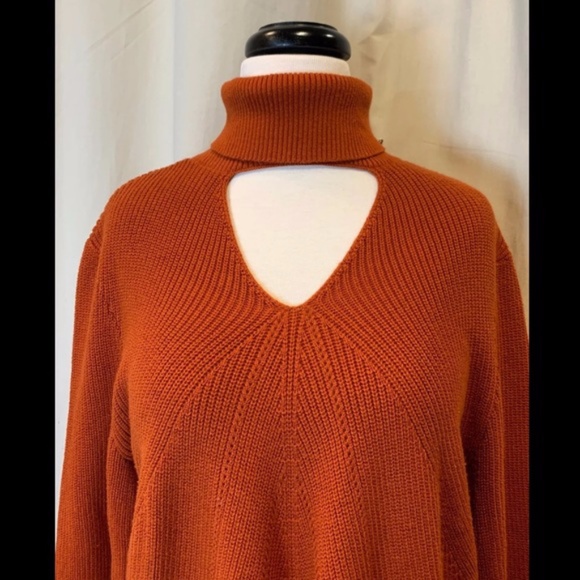 Chico's 3 sz 1X sz 14-16 Beautiful Rust colored Spicy Orange Sweater - Picture 7 of 7